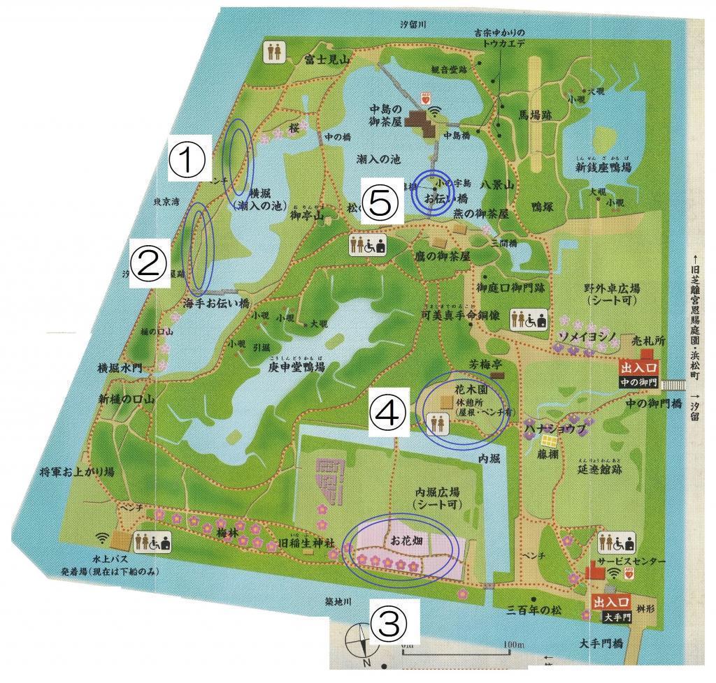 園内マップ 春を満喫できます！
～浜離宮入園無料（中央区民限定）＆今年だけの特別イベント～