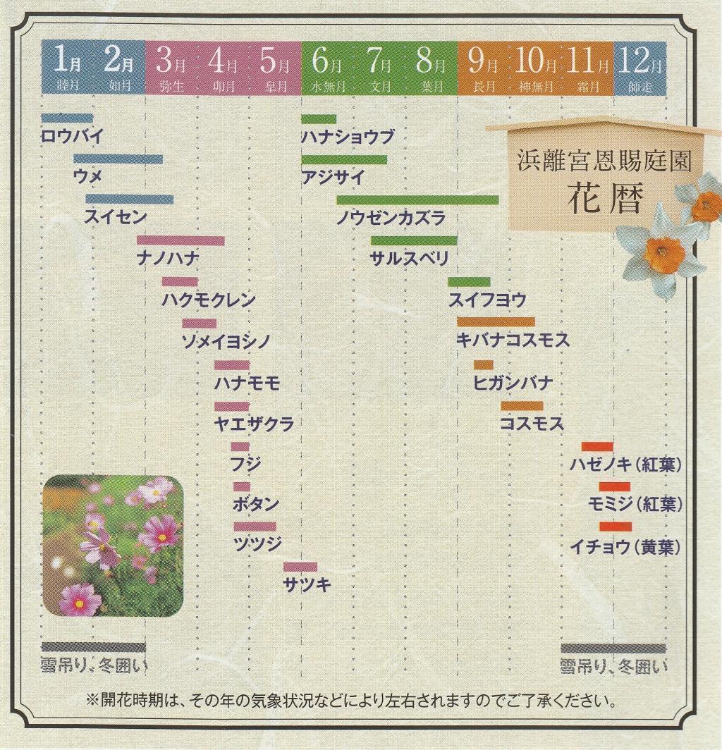  春を満喫できます！
～浜離宮入園無料（中央区民限定）＆今年だけの特別イベント～