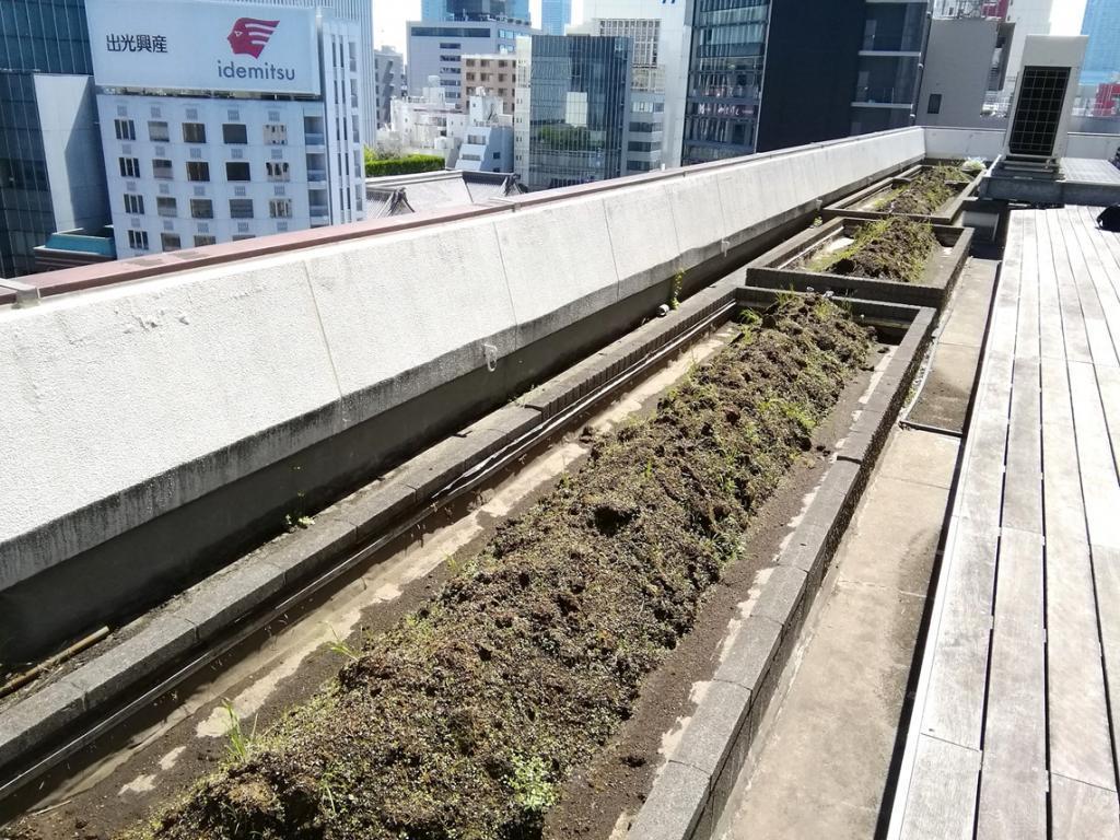  天空の田、稲苗植えを待つ　２０２６春
　　～　白鶴酒造　～