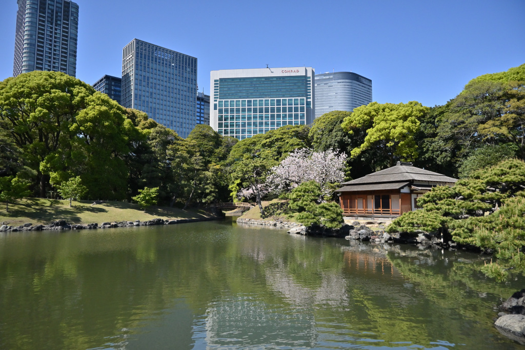 What is Hama-rikyu? Hama-rikyu Gardens: A Quiet Retreat in the Heart of Tokyo