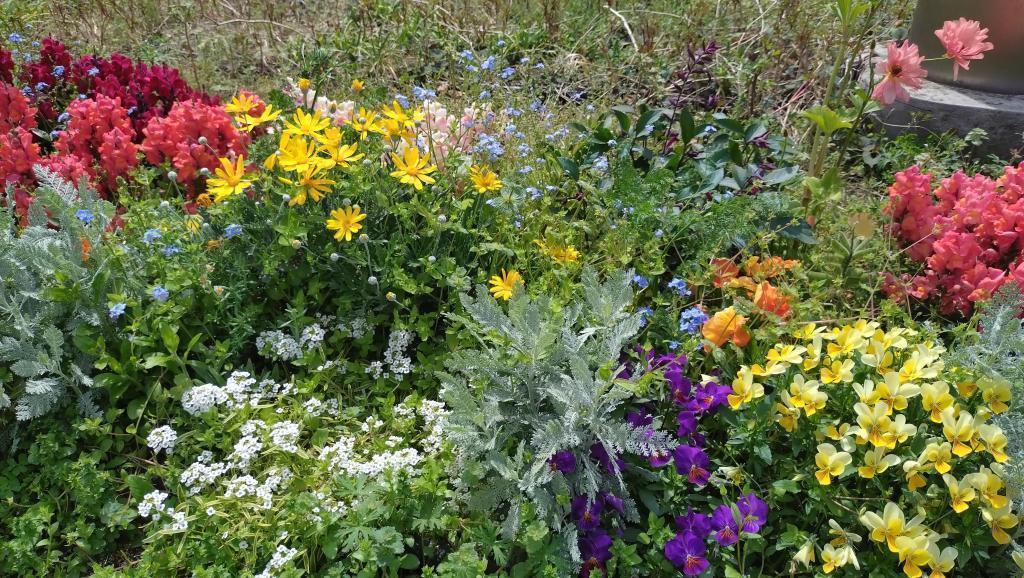  東銀座、開場前の時間を楽しもう