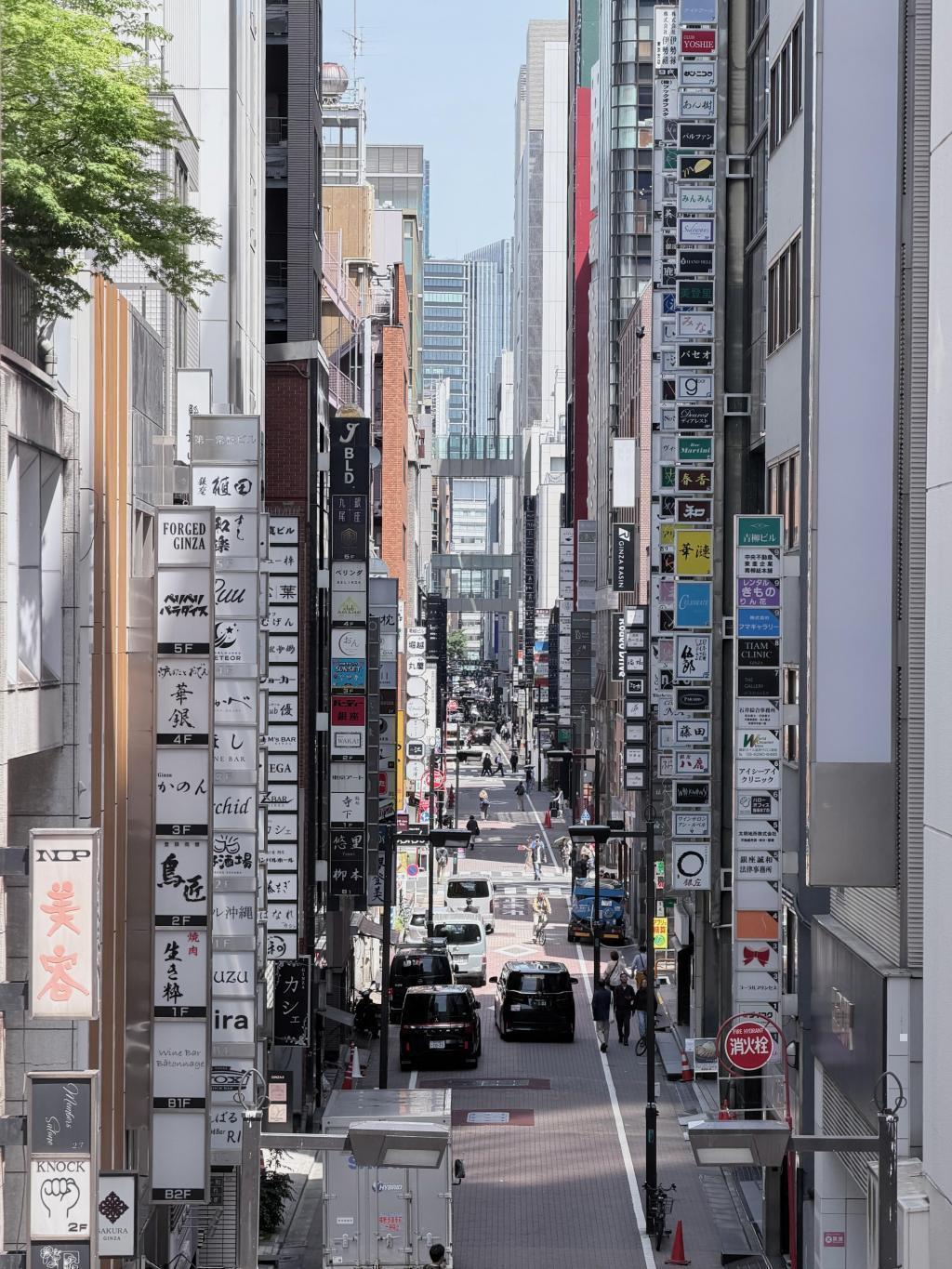 御門通り沿いから汐留方面、そして出口へ 銀座を空中散歩。めっちゃ気持ち良き。
Roof Park Fes & Walk 2026 