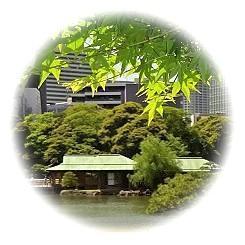  2026 陽光降り注ぐ清爽しい 