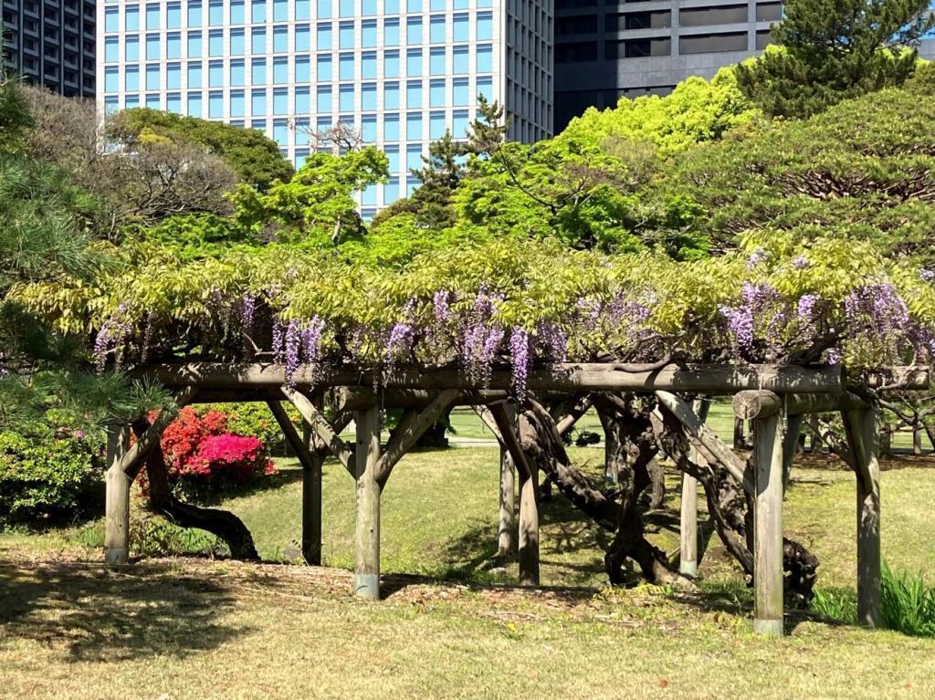  フジのお話