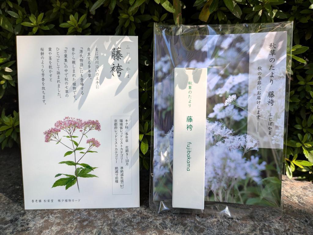  老舗の軒先で出会った、可憐な秋の七草