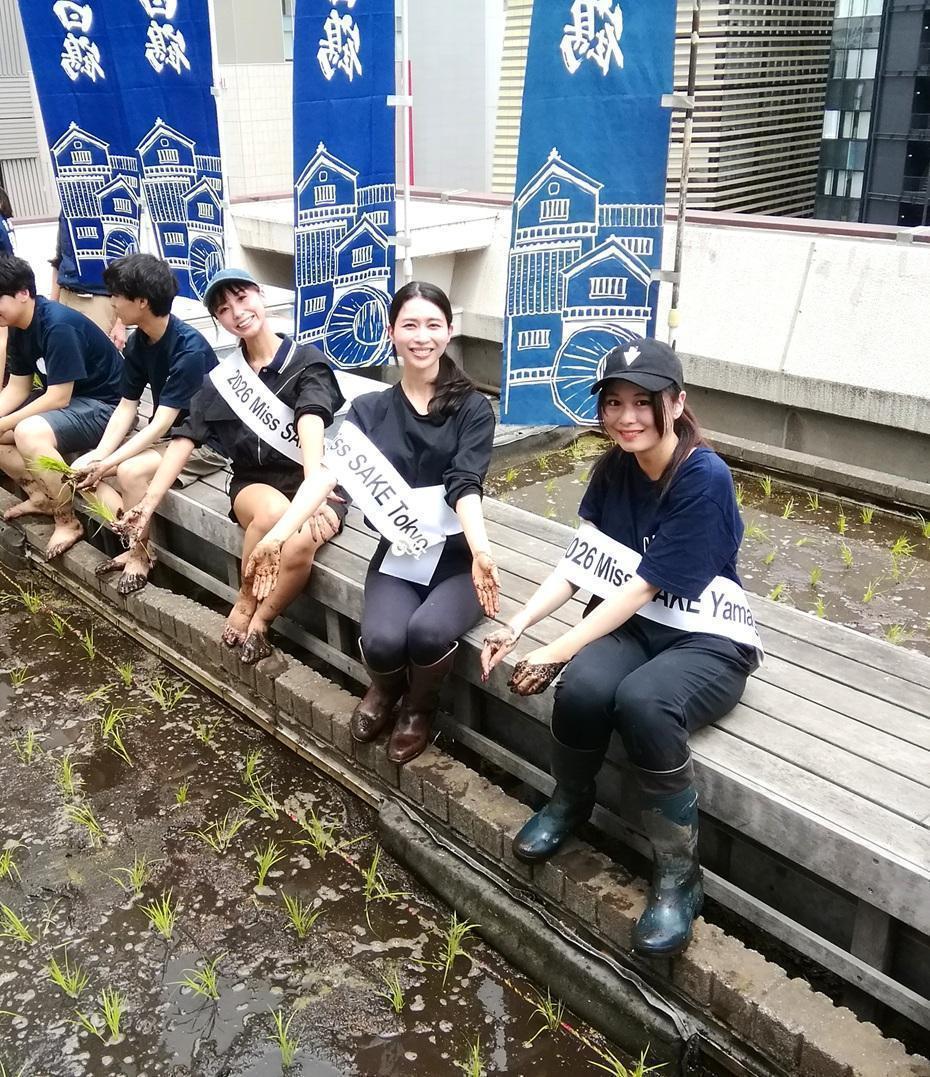  『白鶴銀座天空農園 』　２０２６年の今年が最後の田植えです
　　～　白鶴酒造　～