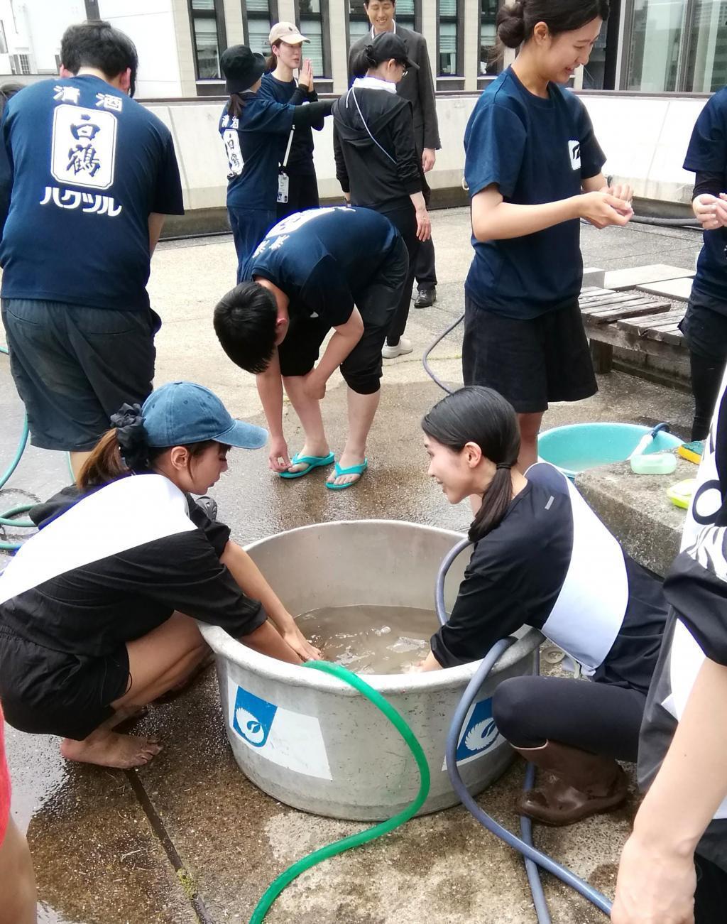  『白鶴銀座天空農園 』　２０２６年の今年が最後の田植えです
　　～　白鶴酒造　～