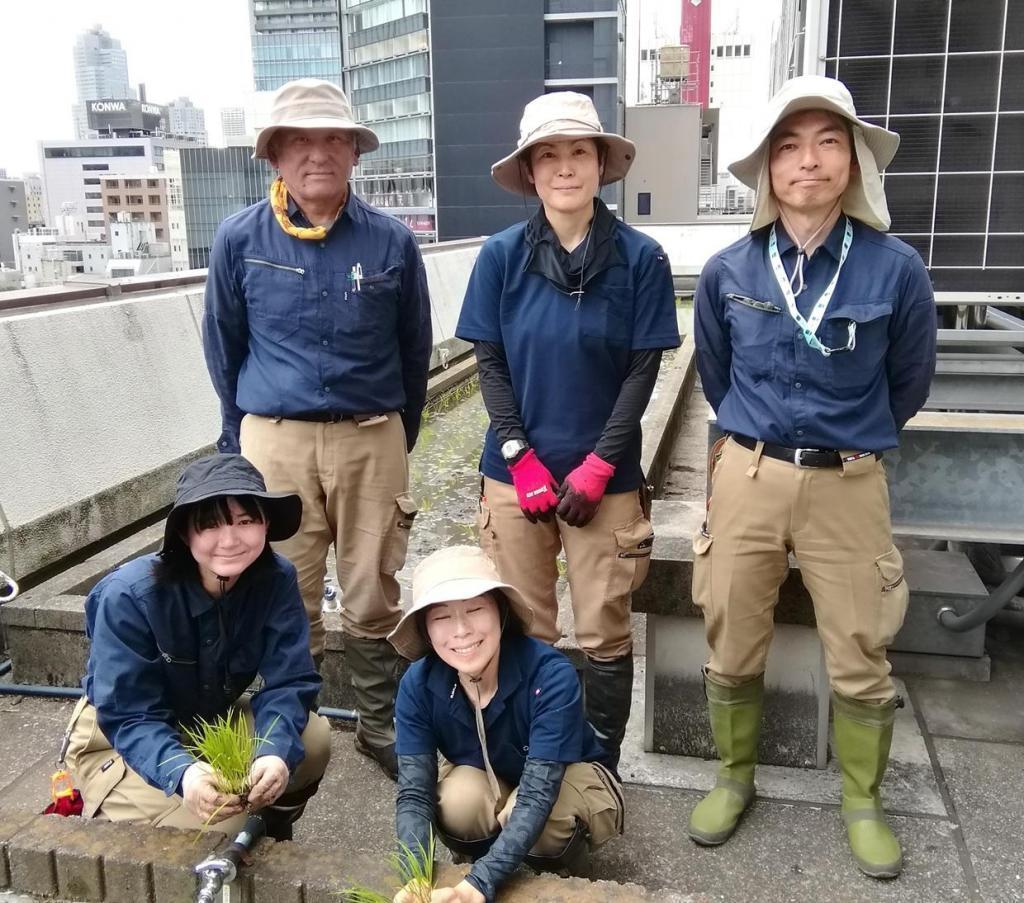 『白鶴銀座天空農園 』　２０２６年の今年が最後の田植えです
　　～　白鶴酒造　～