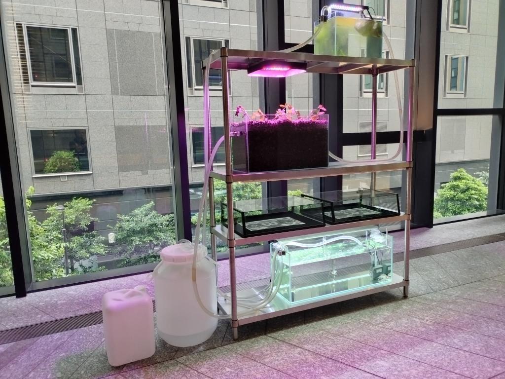 渡辺志桜里氏　《Stock》《地霊》 ～芸術文化の発信地＜TODA BUILDING＞（京橋）～
パブリックアートプログラム第2弾「APK PUBLIC Vol.2」開催（2026年6月1日(月)～2027年11月30日(火)）