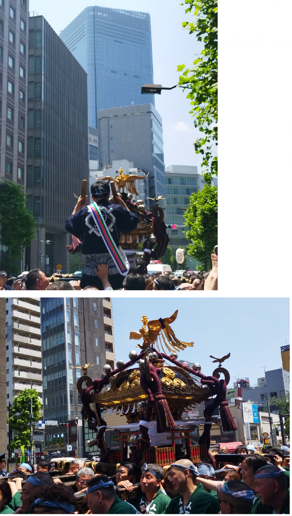  【2026年最新版】＜中央区＞「祭りの風景」（その1）　
「鐵砲洲稲荷神社 例大祭」 「椙森神社 例大祭 本祭」 「小網神社 例大祭」 「つきじ獅子祭」 「山王祭」