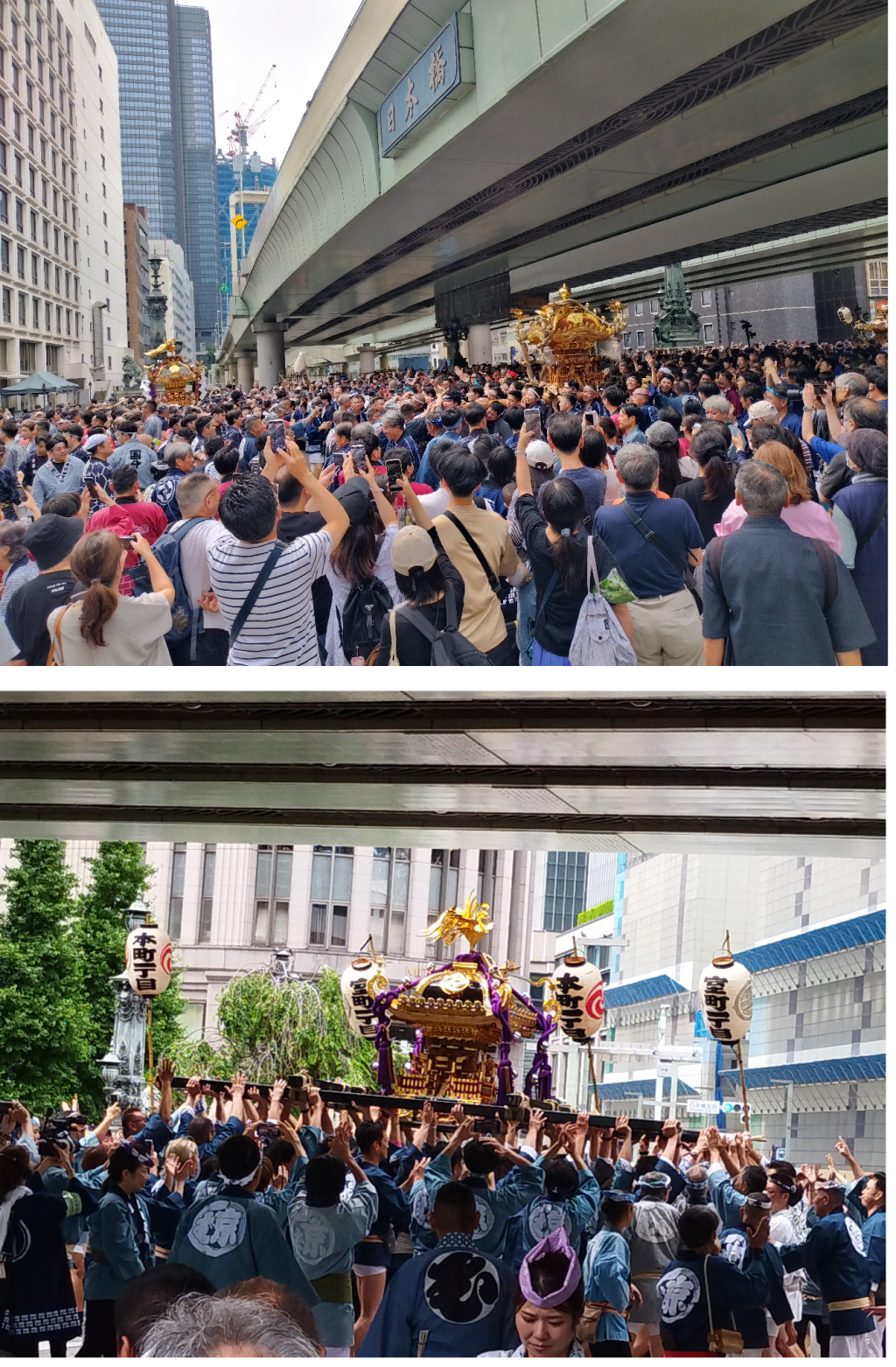 【2026年最新版】＜中央区＞「祭りの風景」（その2）　
「鐵砲洲稲荷神社 例大祭」、「椙森神社 例大祭 本祭」、「小網神社 例大祭」、「つきじ獅子祭」、「山王祭」