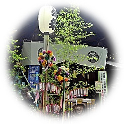  2026 願いを星に託す 夏の風物詩「七夕の節句」祭典 