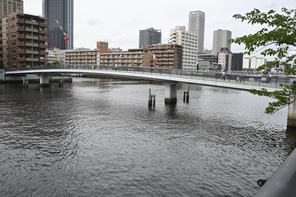 Sakura Kobashi Pedestrian Bridges over the Asashio Canal