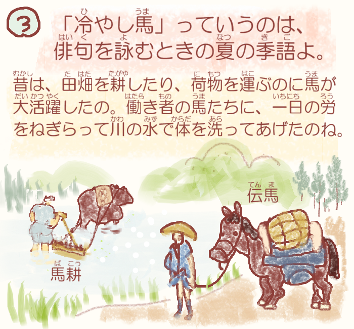  湊っ子ちゃん！ 117.冷やし馬はじめました