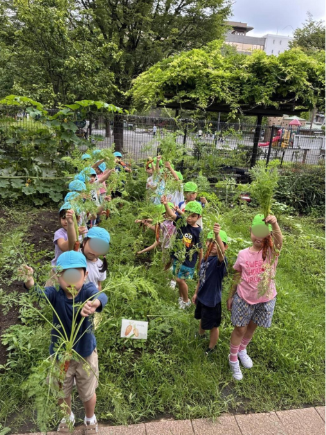 令和８年度月島第一幼稚園７３周年記念行事がスタート！
月一園でカレーに入れる野菜を収穫！ 2026.7.17月島第一小学校１２０周年・月島第一幼稚園７３周年記念夏祭り開催
月島第一幼稚園７３周年までの１学期の取り組み！