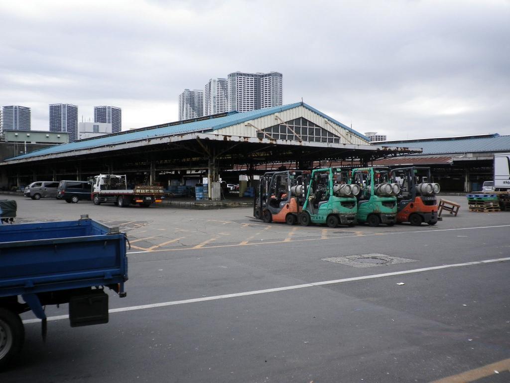  築地市場跡遺跡見学会