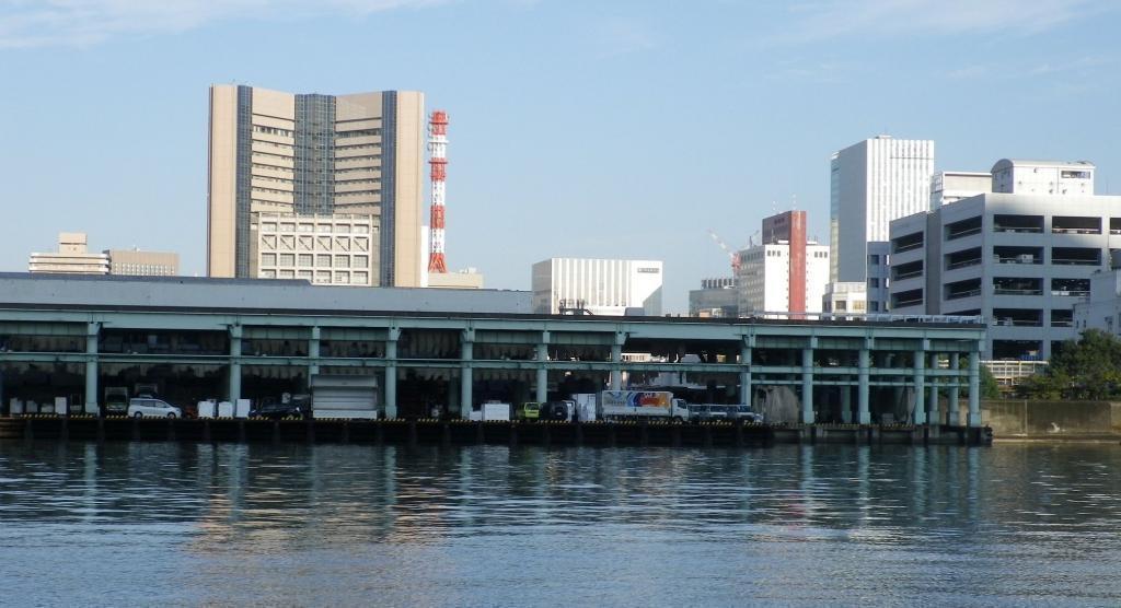  築地市場跡遺跡見学会