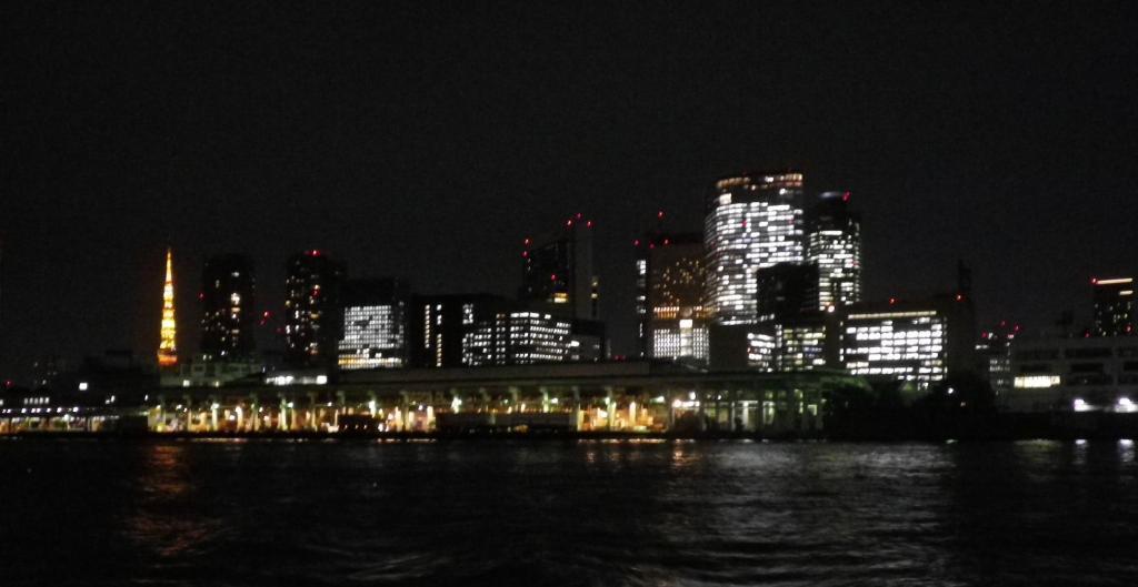  築地市場跡遺跡見学会
