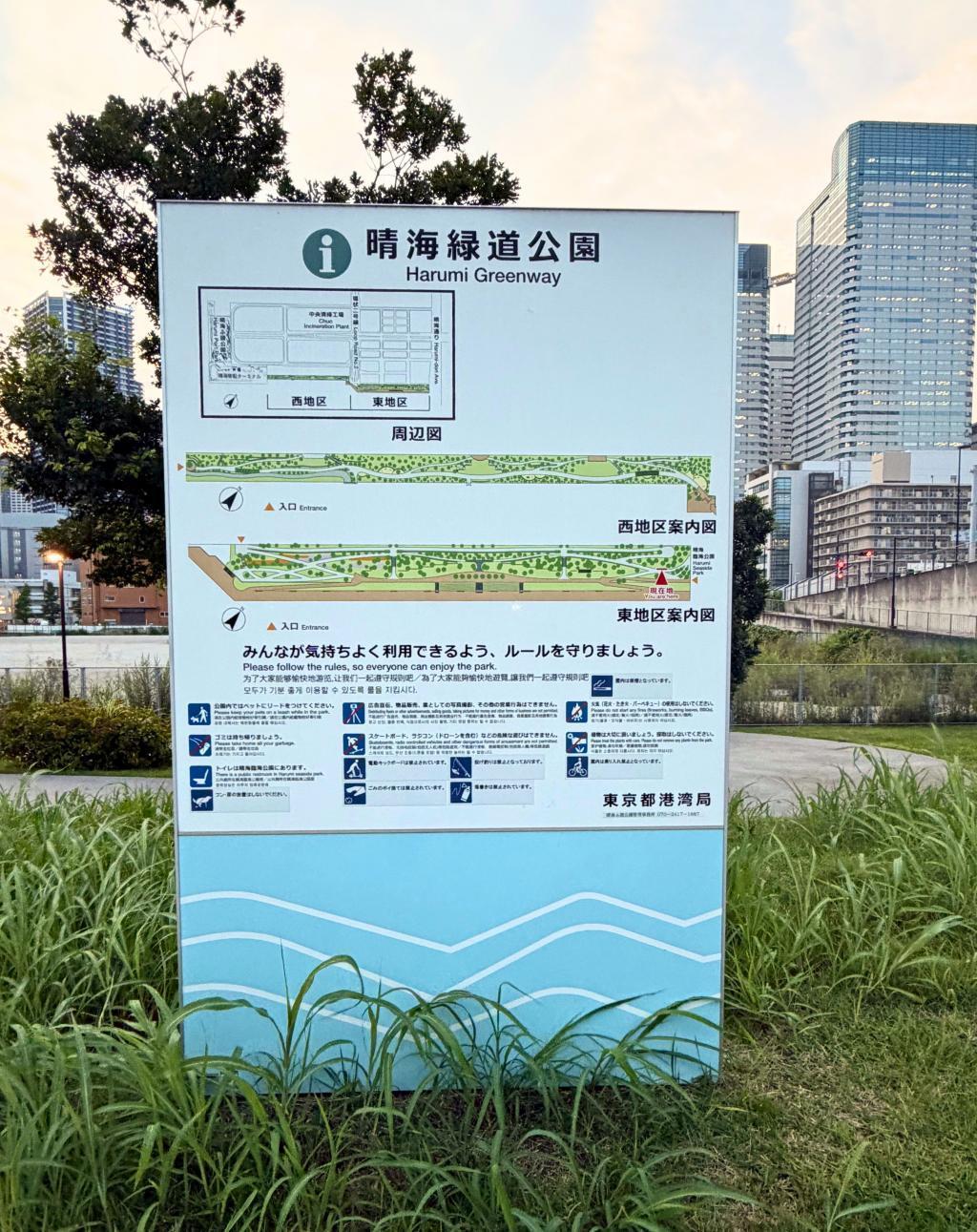  リゾート気分で海辺散歩　夏の夕暮れは晴海緑道公園で涼もう