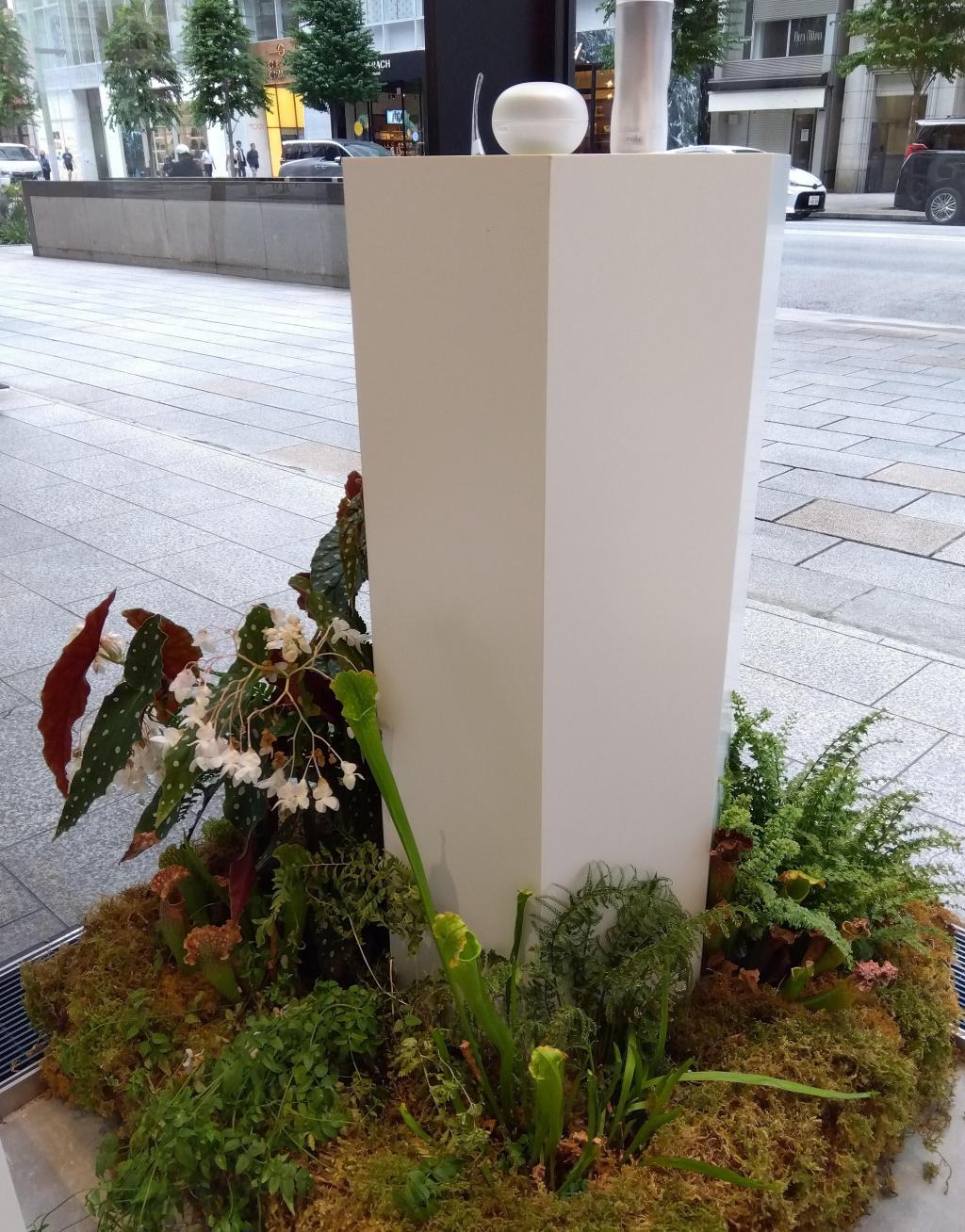 店内から見た銀座通りの風景 a DAY in GINZA at POLA GINZA