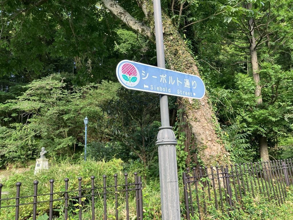  「こちらがシーボルト宅（鳴滝塾）でございます」