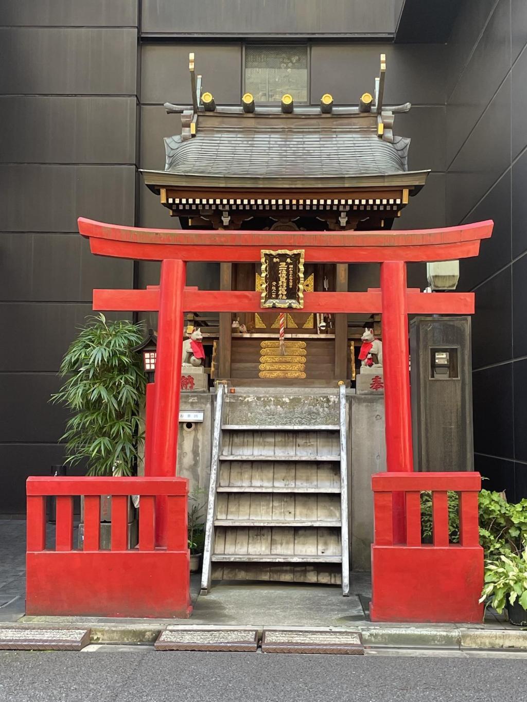  中央区と江戸野菜〜京橋大根河岸