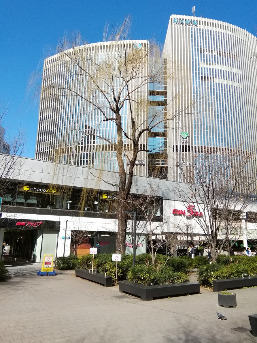  大好きな「柳の木」が、無い！　無くなっています！
　　～　数寄屋橋公園　～