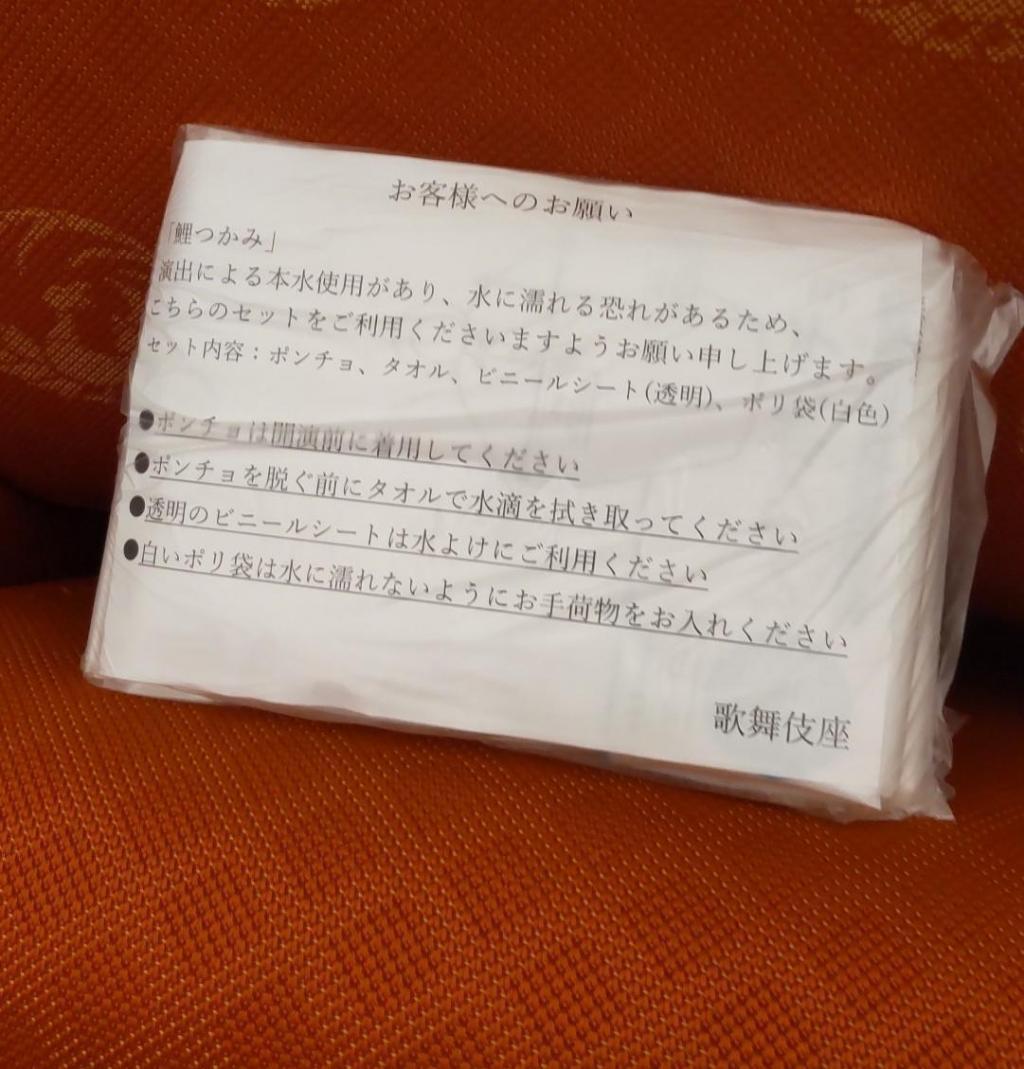  愛之助初の歌舞伎座上演「鯉つかみ」ー錦秋十月歌舞伎