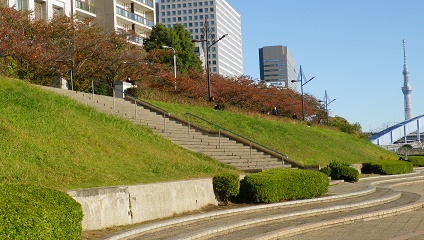  秋の新川公園