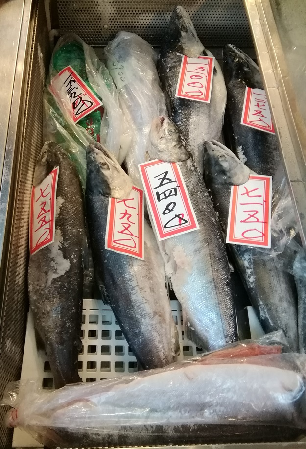 鮭　１本もの 築地の“しゃけこさん”はとてもフレンドリーです。
　～　鮭の店　昭和食品　～