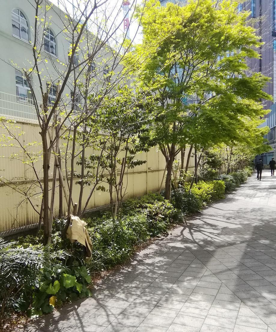 考察 数寄屋橋界隈 ③
~ 泰明小学校 ~