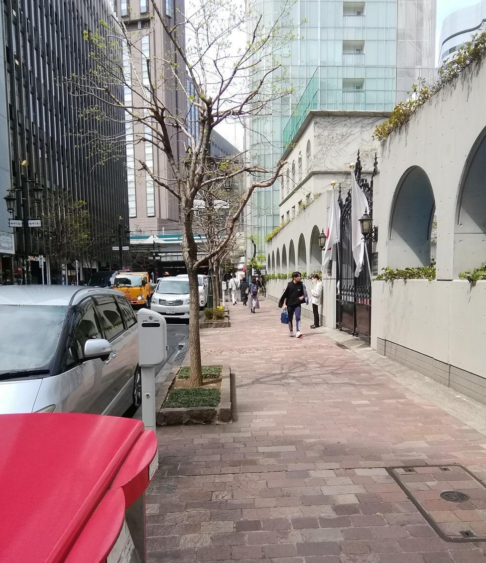 考察 数寄屋橋界隈 ③
~ 泰明小学校 ~